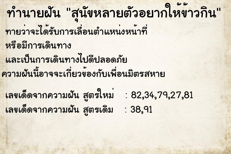 ทำนายฝันสุนัขหลายตัวอยากให้ข้าวกิน ทำนายฝันทำนายฝันสุนัขหลายตัวอยากให้ข้าวกิน