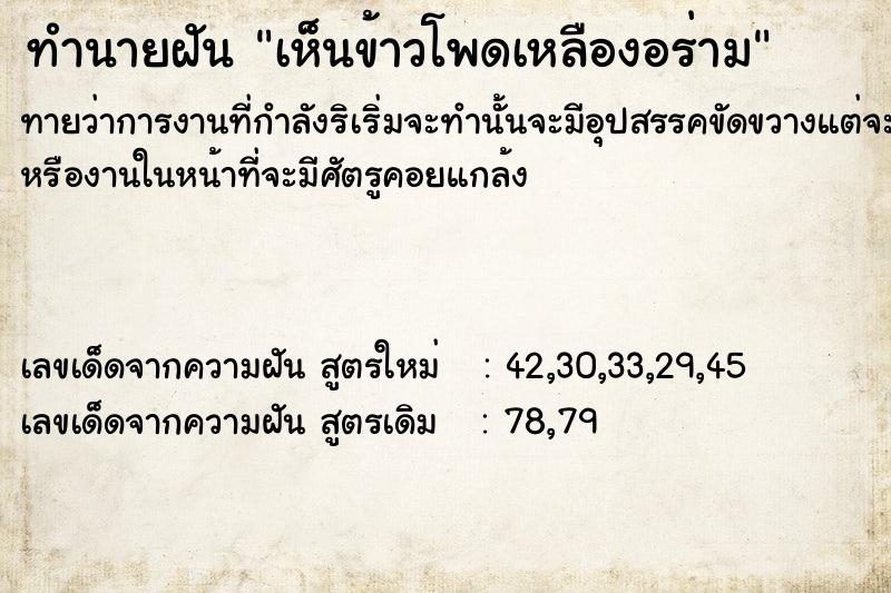 ทำนายฝันเห็นข้าวโพดเหลืองอร่าม ทำนายฝันทำนายฝันเห็นข้าวโพดเหลืองอร่าม