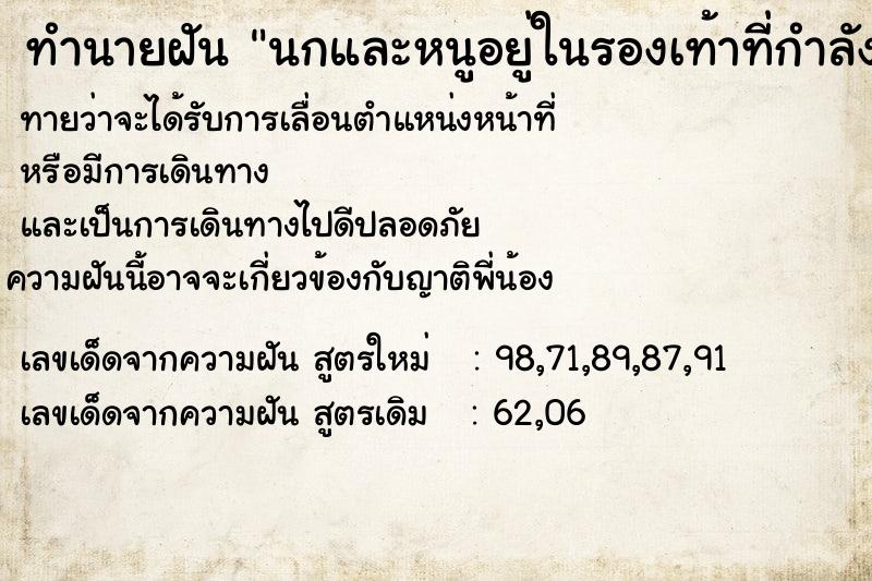 ทำนายฝัน นกและหนูอยู่ในรองเท้าที่กำลังสวมใส่ ทำนายฝัน นกและหนูอยู่ในรองเท้าที่กำลังสวมใส่