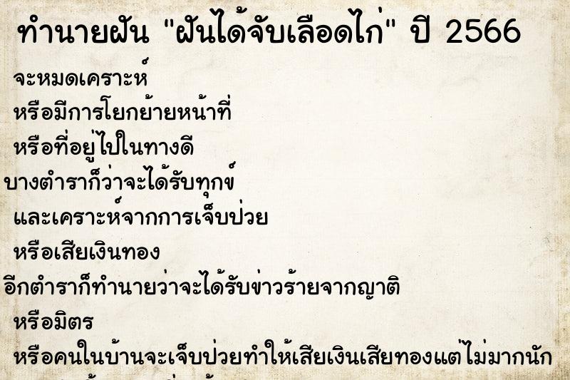 ทำนายฝันฝันได้จับเลือดไก่ ทำนายฝันทำนายฝันฝันได้จับเลือดไก่