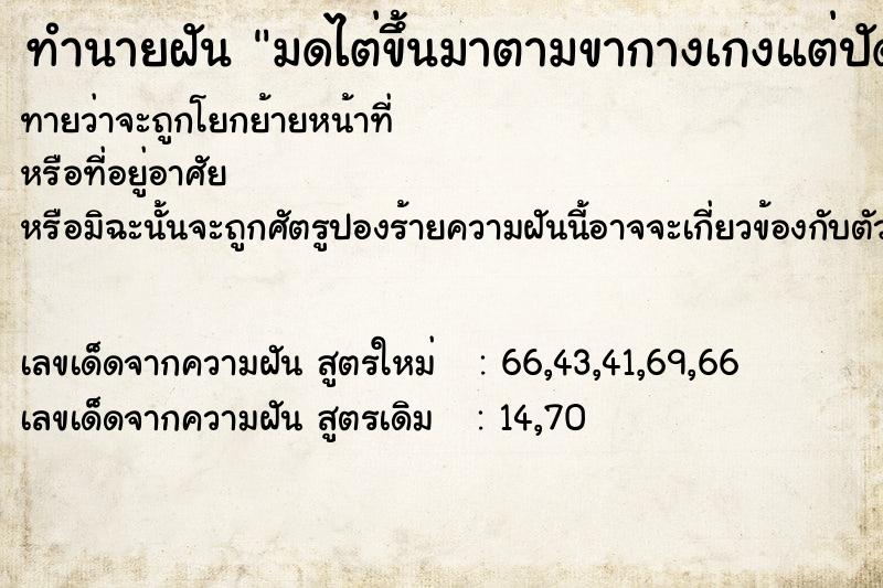 ทำนายฝันมดไต่ขึ้นมาตามขากางเกงแต่ปัดออกหมด ทำนายฝันทำนายฝันมดไต่ขึ้นมาตามขากางเกงแต่ปัดออกหมด