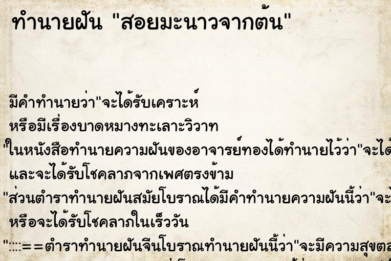 ทำนายฝัน สอยมะนาวจากต้น ตำราโบราณ แม่นที่สุดในโลก