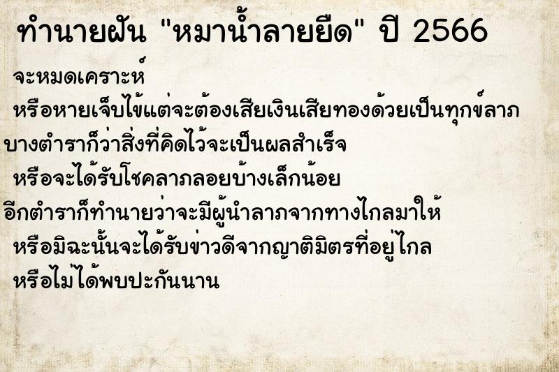 ทำนายฝันทำนายฝันหมาน้ำลายยืด