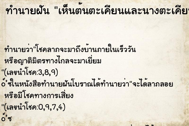 ทำนายฝัน เห็นต้นตะเคียนและนางตะเคียน