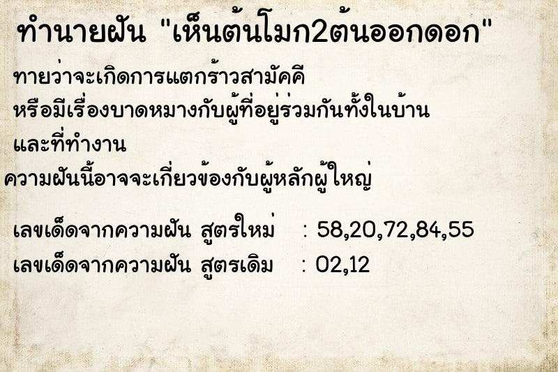 ทำนายฝันเห็นต้นโมก2ต้นออกดอก ทำนายฝันทำนายฝันเห็นต้นโมก2ต้นออกดอก