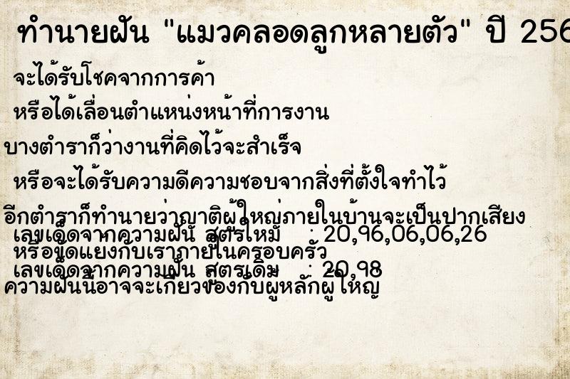 ทำนายฝัน แมวคลอดลูกหลายตัว