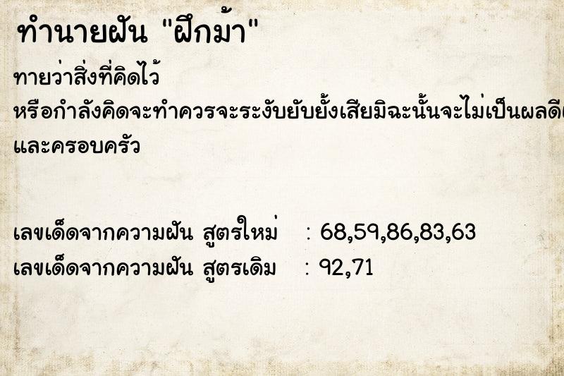 ทำนายฝันฝึกม้า ทำนายฝันทำนายฝันฝึกม้า