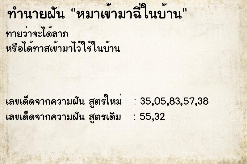 ทำนายฝัน หมาเข้ามาฉี่ในบ้าน ทำนายฝัน หมาเข้ามาฉี่ในบ้าน