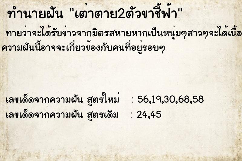 ทำนายฝันทำนายฝันเต่าตาย2ตัวขาชี้ฟ้า