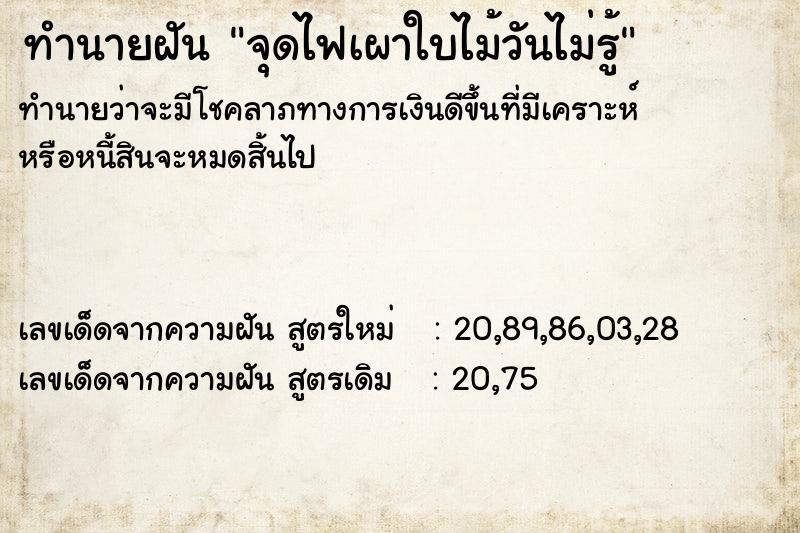 ทำนายฝันจุดไฟเผาใบไม้วันไม่รู้ ทำนายฝันทำนายฝันจุดไฟเผาใบไม้วันไม่รู้