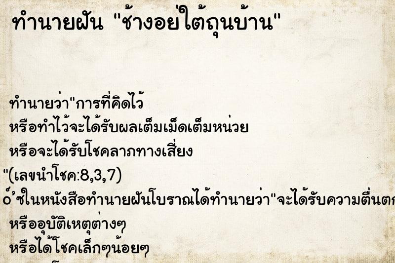 ทำนายฝัน ช้างอย่ใต้ถุนบ้าน ทำนายฝัน ช้างอย่ใต้ถุนบ้าน