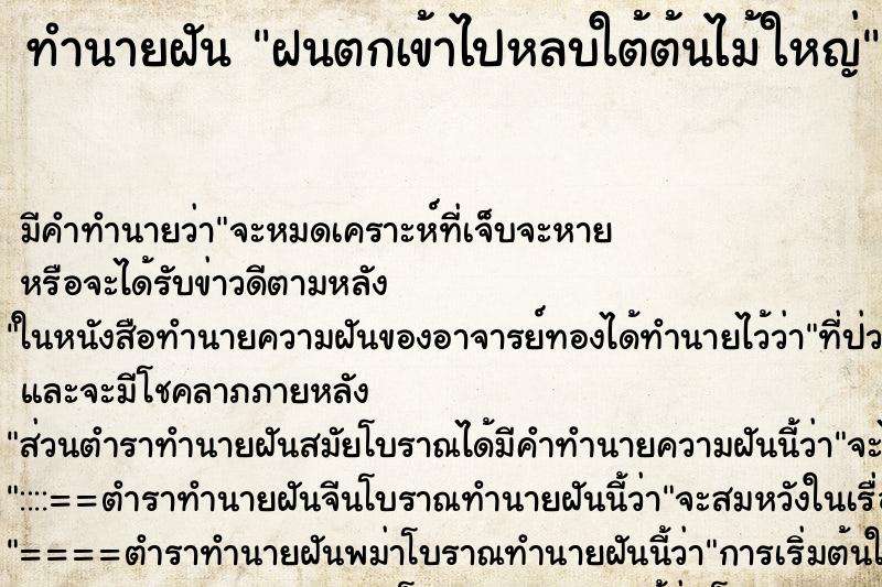 ทำนายฝัน ฝนตกเข้าไปหลบใต้ต้นไม้ใหญ่ ทำนายฝัน ฝนตกเข้าไปหลบใต้ต้นไม้ใหญ่