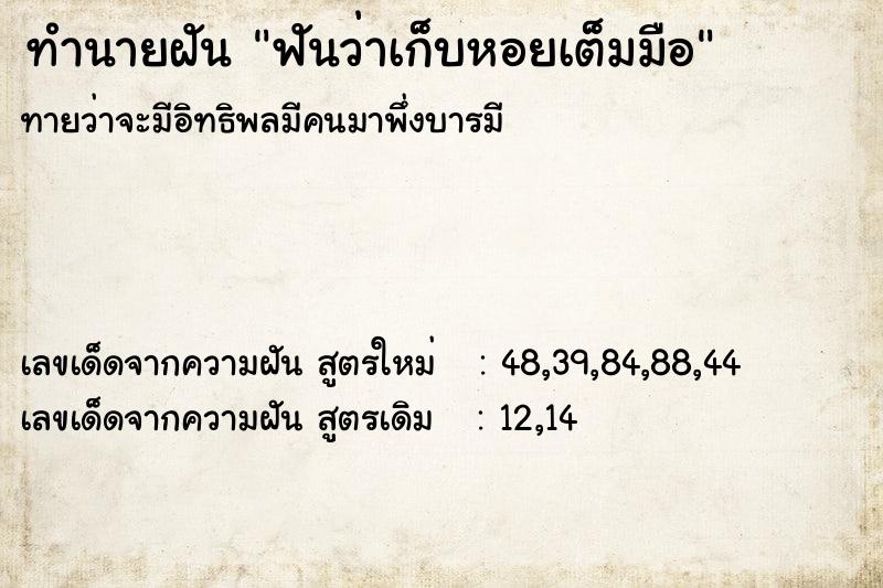 ทำนายฝันทำนายฝันฟันว่าเก็บหอยเต็มมือ