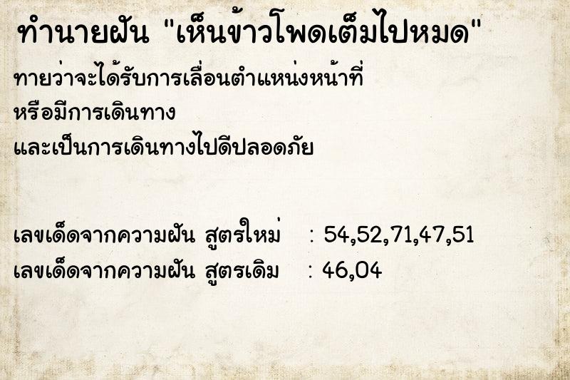 ทำนายฝันเห็นข้าวโพดเต็มไปหมด ทำนายฝันทำนายฝันเห็นข้าวโพดเต็มไปหมด