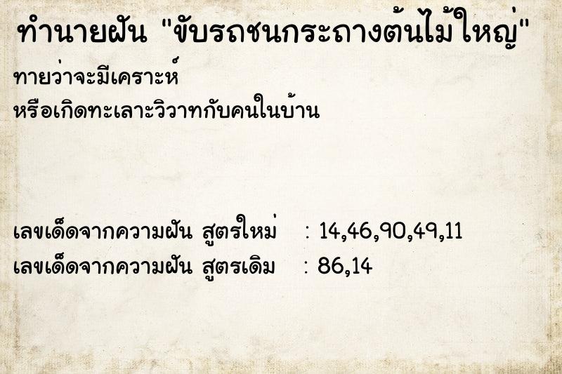 ทำนายฝัน ขับรถชนกระถางต้นไม้ใหญ่ ทำนายฝัน ขับรถชนกระถางต้นไม้ใหญ่