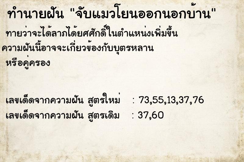 ทำนายฝันจับแมวโยนออกนอกบ้าน ทำนายฝันทำนายฝันจับแมวโยนออกนอกบ้าน