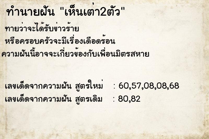 ทำนายฝัน เห็นเต่า2ตัว ทำนายฝัน เห็นเต่า2ตัว