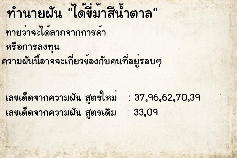 ทำนายฝันทำนายฝันได้ขี่ม้าสีน้ำตาล
