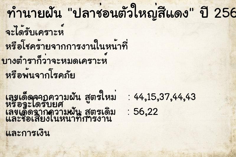 ทำนายฝันปลาช่อนตัวใหญ่สีแดง ทำนายฝันทำนายฝันปลาช่อนตัวใหญ่สีแดง