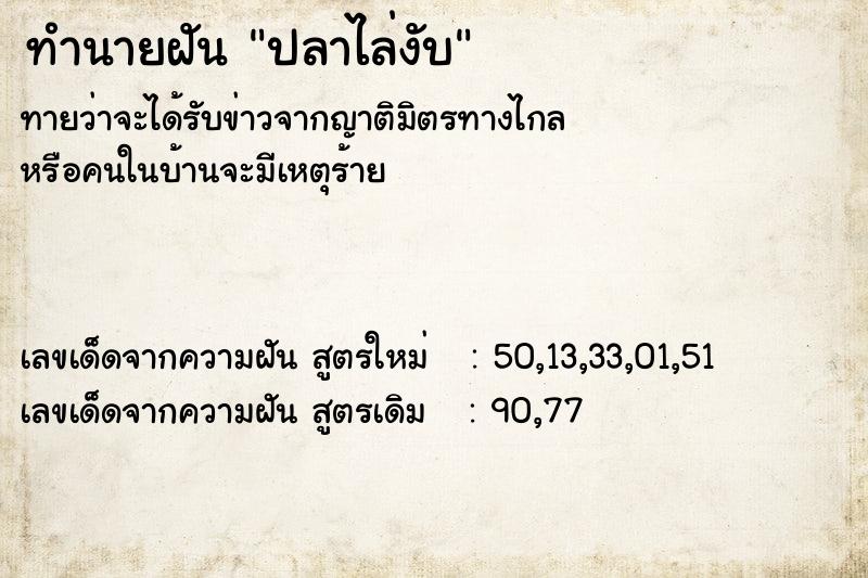 ทำนายฝันปลาไล่งับ ทำนายฝันทำนายฝันปลาไล่งับ