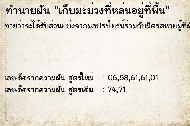 ทำนายฝันเก็บมะม่วงที่หล่นอยู่ที่พื้น ทำนายฝันทำนายฝันเก็บมะม่วงที่หล่นอยู่ที่พื้น