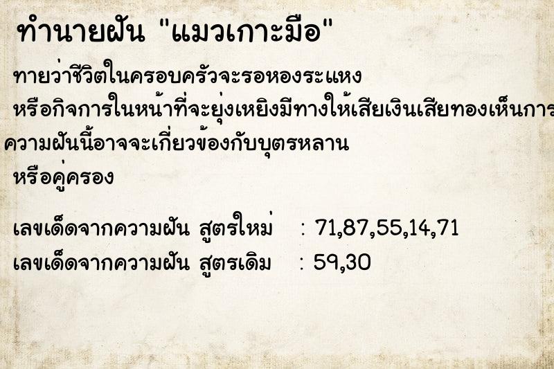 ทำนายฝัน แมวเกาะมือ ทำนายฝัน แมวเกาะมือ
