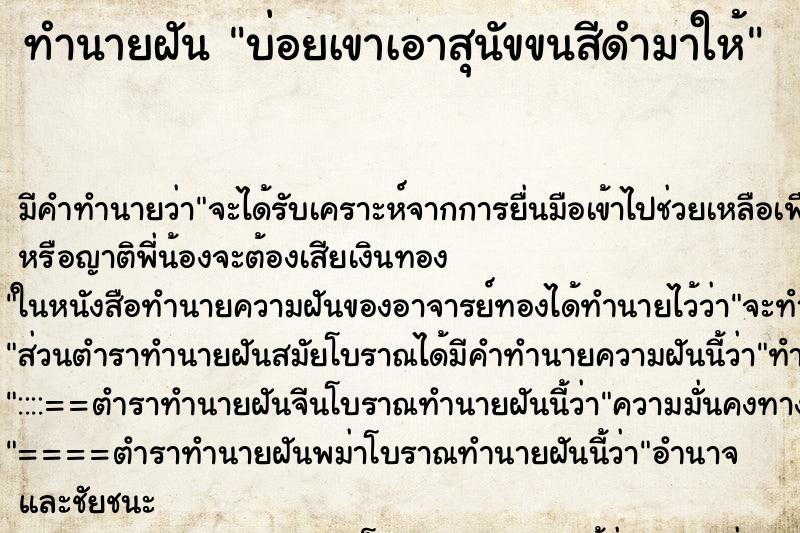 ทำนายฝันบ่อยเขาเอาสุนัขขนสีดำมาให้ ทำนายฝันทำนายฝันบ่อยเขาเอาสุนัขขนสีดำมาให้