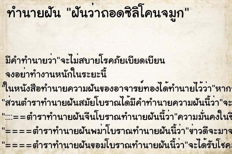 ทำนายฝัน ฝันว่าถอดซิลิโคนจมูก ทำนายฝัน ฝันว่าถอดซิลิโคนจมูก