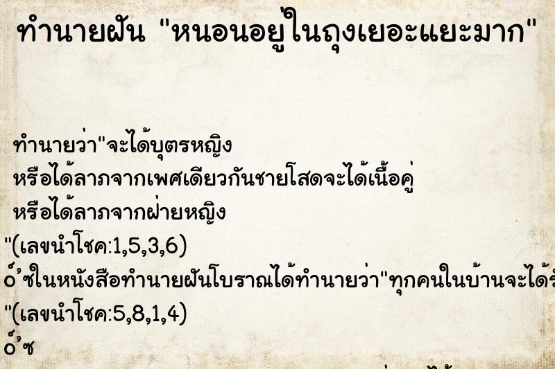 ทำนายฝันทำนายฝันหนอนอยู่ในถุงเยอะแยะมาก