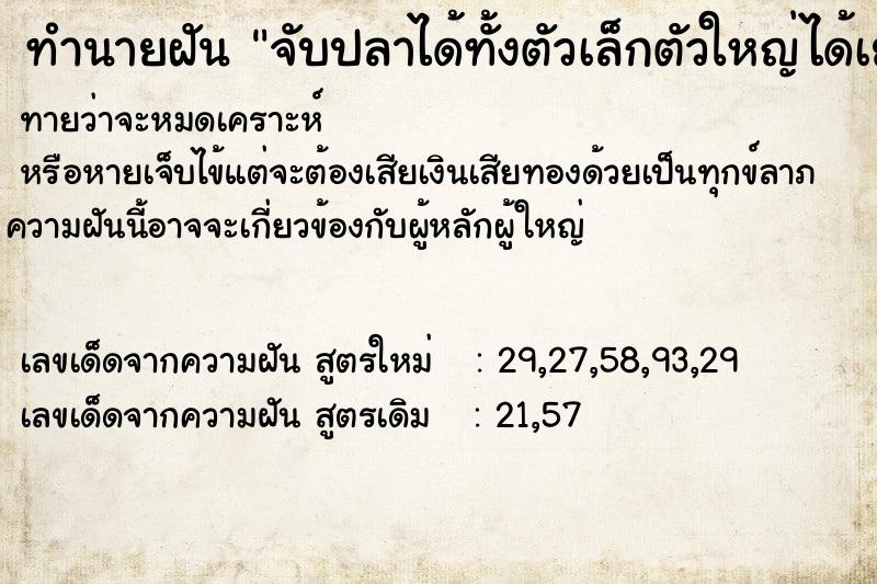 ทำนายฝันจับปลาได้ทั้งตัวเล็กตัวใหญ่ได้เยอะมาก ทำนายฝันทำนายฝันจับปลาได้ทั้งตัวเล็กตัวใหญ่ได้เยอะมาก