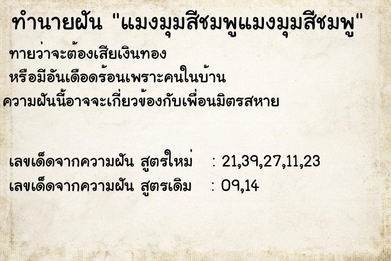 ทำนายฝัน แมงมุมสีชมพูแมงมุมสีชมพู