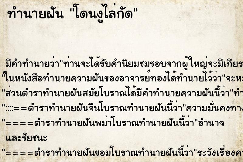 ทำนายฝันโดนงูไล่กัด ทำนายฝันทำนายฝันโดนงูไล่กัด