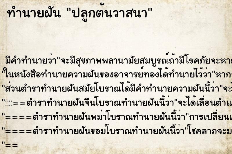 ทำนายฝัน ปลูกต้นวาสนา ทำนายฝัน ปลูกต้นวาสนา