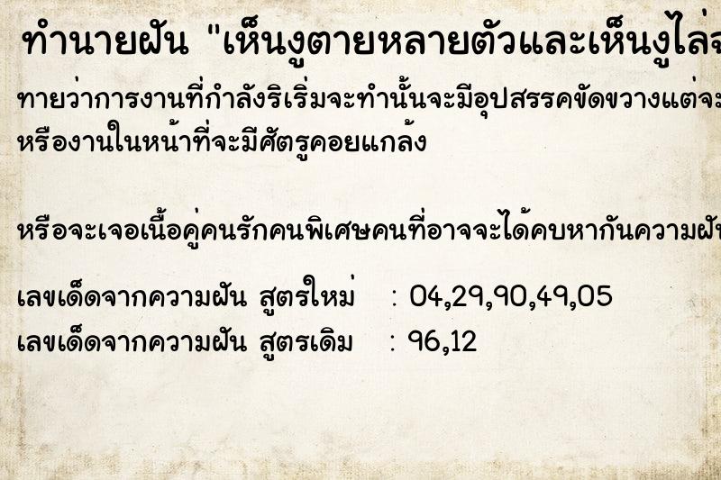 ทำนายฝันเห็นงูตายหลายตัวและเห็นงูไล่ฉกคนอื่น ทำนายฝันทำนายฝันเห็นงูตายหลายตัวและเห็นงูไล่ฉกคนอื่น