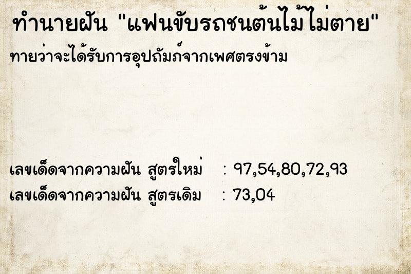 ทำนายฝันแฟนขับรถชนต้นไม้ไม่ตาย ทำนายฝันทำนายฝันแฟนขับรถชนต้นไม้ไม่ตาย
