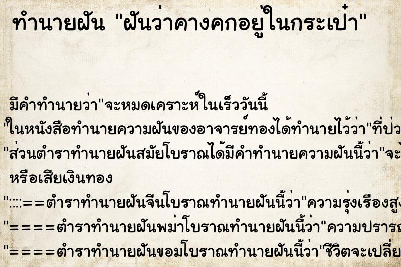 ทำนายฝัน ฝันว่าคางคกอยู่ในกระเป๋า ทำนายฝัน ฝันว่าคางคกอยู่ในกระเป๋า
