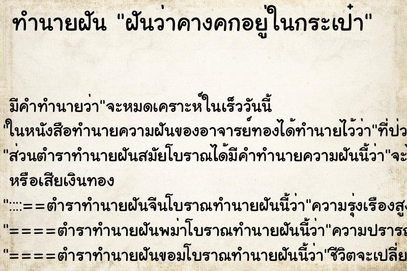 ทำนายฝัน ฝันว่าคางคกอยู่ในกระเป๋า ตำราโบราณ แม่นที่สุดในโลก