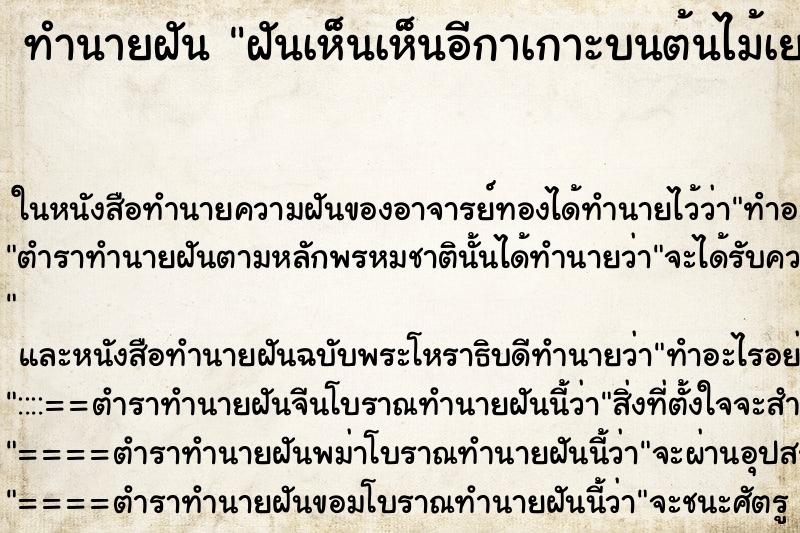 ทำนายฝันฝันเห็นเห็นอีกาเกาะบนต้นไม้เยอะมาก ทำนายฝันทำนายฝันฝันเห็นเห็นอีกาเกาะบนต้นไม้เยอะมาก