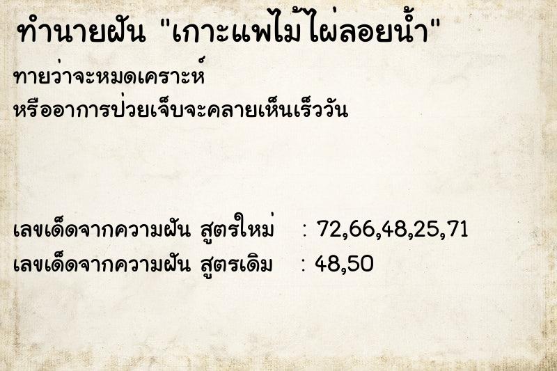 ทำนายฝันเกาะแพไม้ไผ่ลอยน้ำ ทำนายฝันทำนายฝันเกาะแพไม้ไผ่ลอยน้ำ