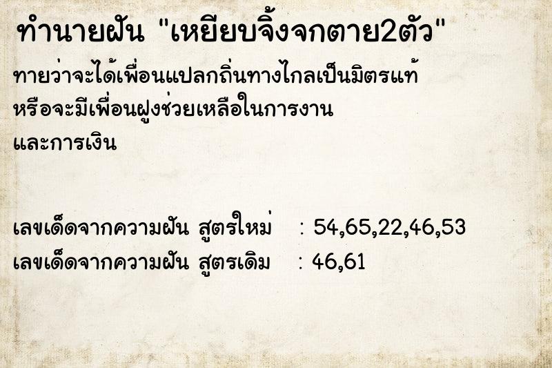 ทำนายฝันทำนายฝันเหยียบจิ้งจกตาย2ตัว