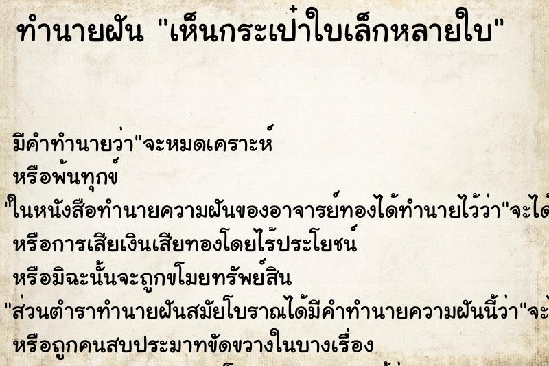 ทำนายฝันทำนายฝันเห็นกระเป๋าใบเล็กหลายใบ