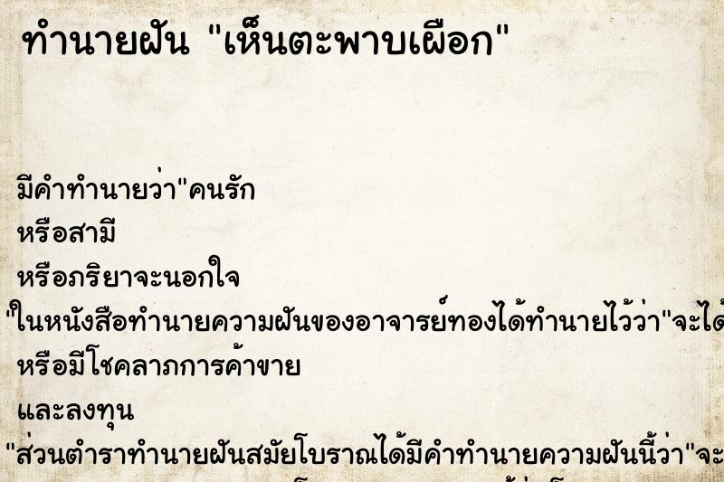 ทำนายฝัน เห็นตะพาบเผือก ทำนายฝัน เห็นตะพาบเผือก