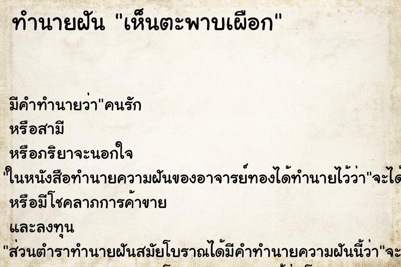 ทำนายฝัน เห็นตะพาบเผือก ตำราโบราณ แม่นที่สุดในโลก