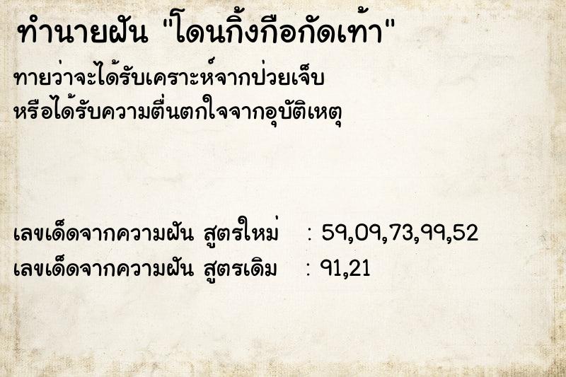 ทำนายฝันโดนกิ้งกือกัดเท้า ทำนายฝันทำนายฝันโดนกิ้งกือกัดเท้า