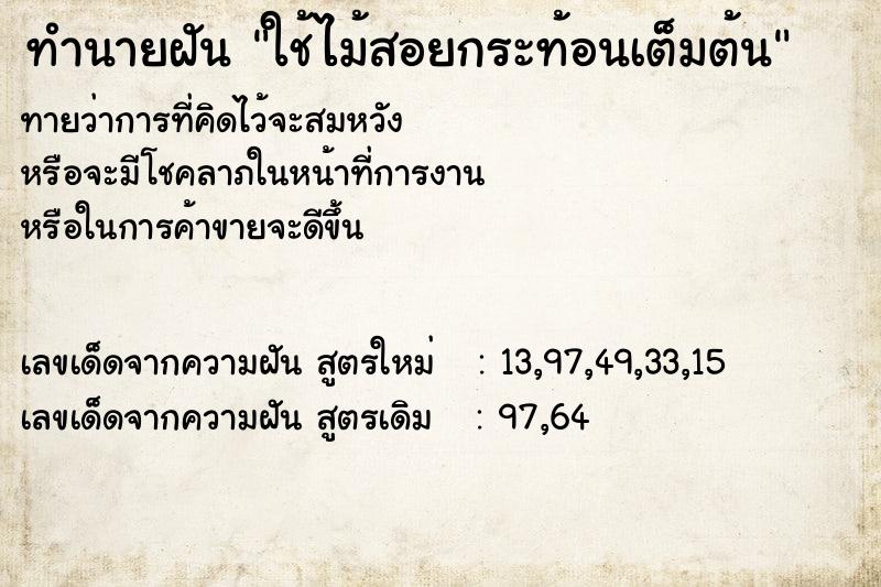 ทำนายฝันทำนายฝันใช้ไม้สอยกระท้อนเต็มต้น