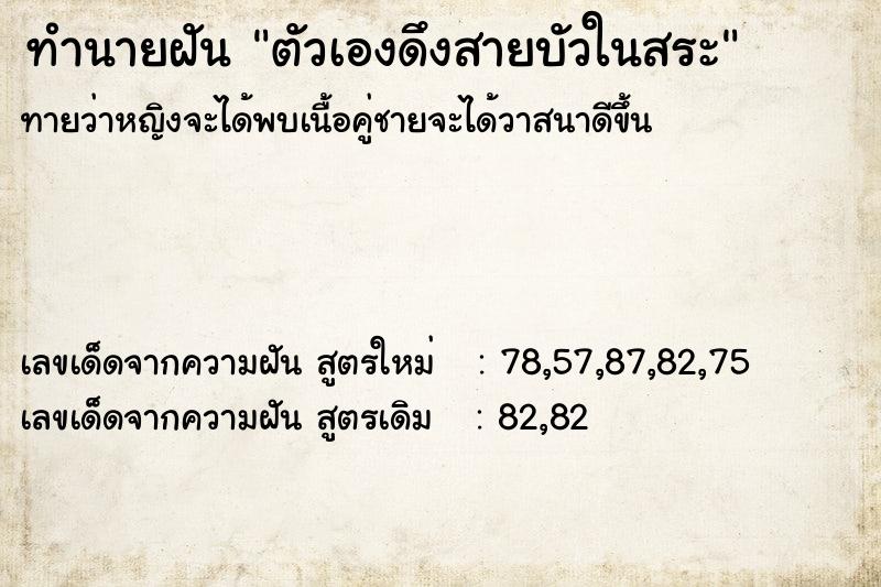 ทำนายฝัน ตัวเองดึงสายบัวในสระ ทำนายฝัน ตัวเองดึงสายบัวในสระ