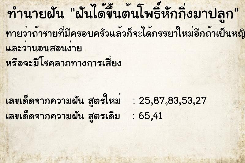 ทำนายฝันทำนายฝันฝันได้ขึ้นต้นโพธิ์หักกิ่งมาปลูก