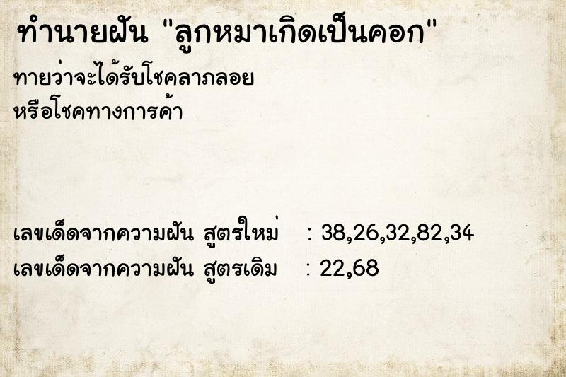 ทำนายฝันทำนายฝันลูกหมาเกิดเป็นคอก