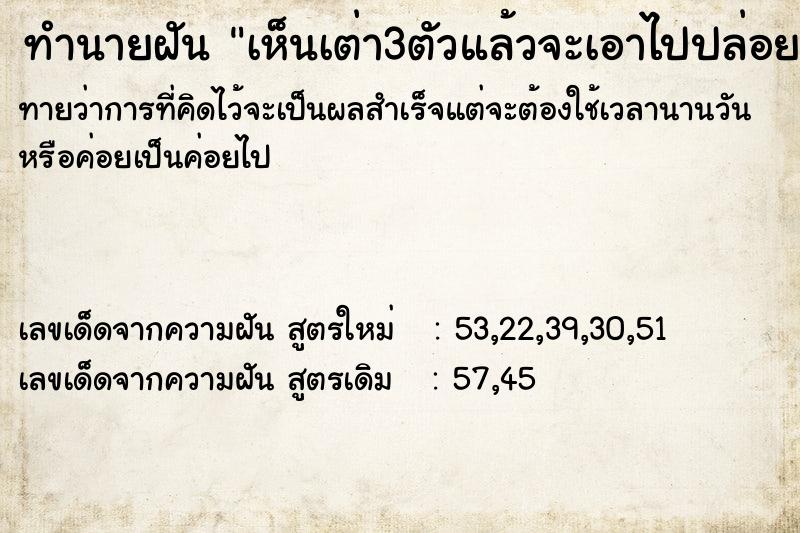 ทำนายฝันเห็นเต่า3ตัวแล้วจะเอาไปปล่อย ทำนายฝันทำนายฝันเห็นเต่า3ตัวแล้วจะเอาไปปล่อย