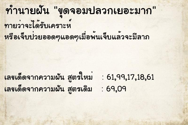 ทำนายฝันขุดจอมปลวกเยอะมาก ทำนายฝันทำนายฝันขุดจอมปลวกเยอะมาก